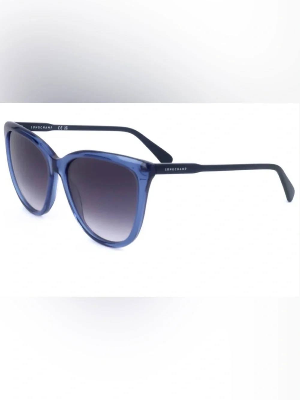 Longchamp Blue Oversized Women's Sunglasses with Case L0718S-400 #3
